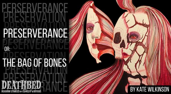 Preserverance by Kate Wilkinson 